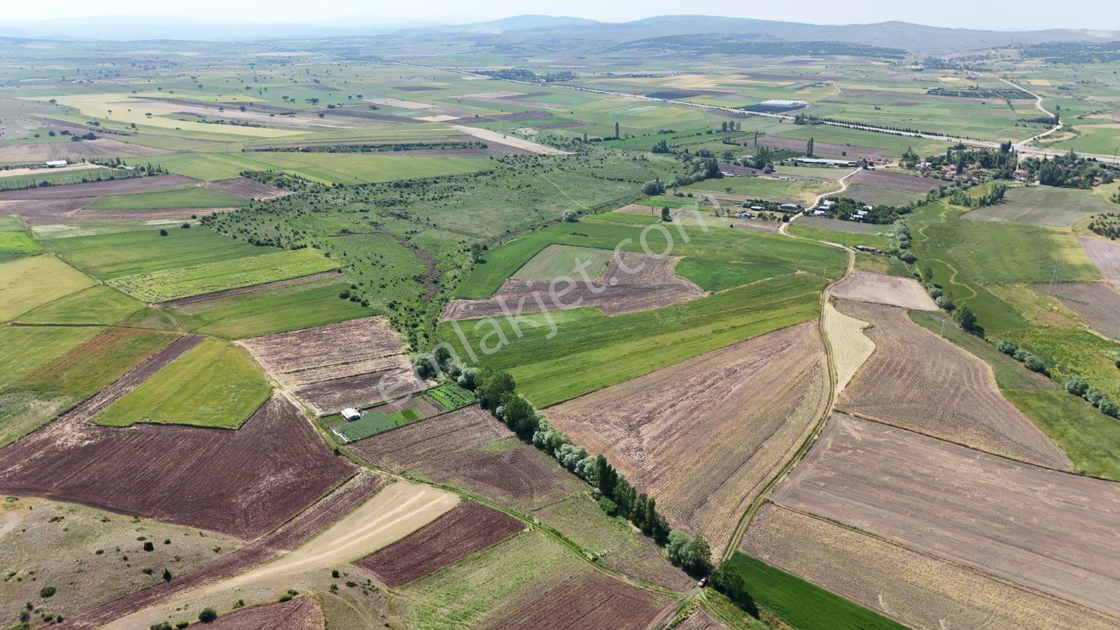 Eskişehirin En Gozde Koyu Mollaoglu Koyunde Satılık Tarlalar — fotoğraf 4