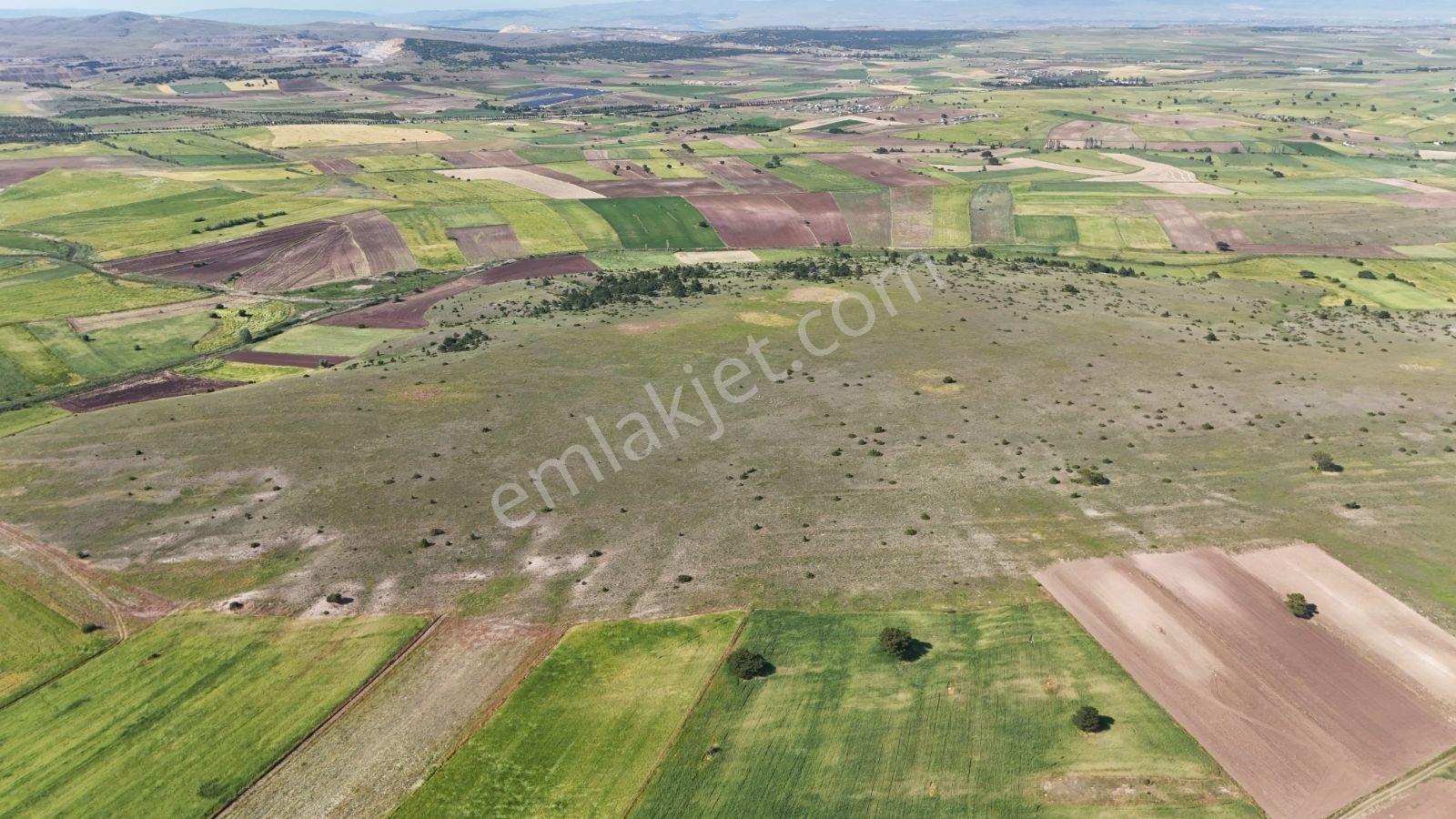 Eskişehirin En Gozde Koyu Mollaoglu Koyunde Satılık Tarlalar — fotoğraf 5