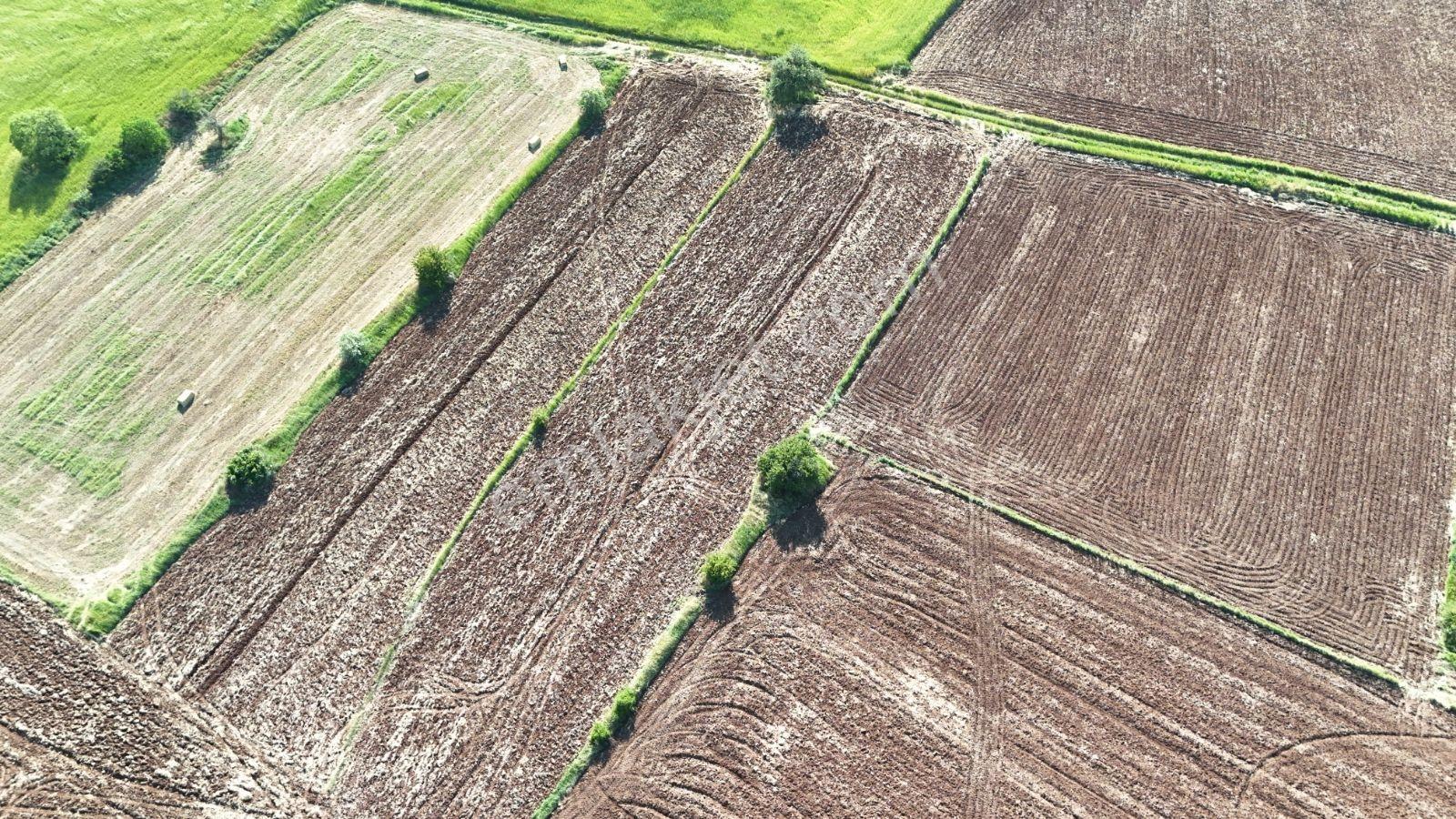 Eskişehirin En Gozde Koyu Mollaoglu Koyunde Satılık Tarlalar — fotoğraf 8