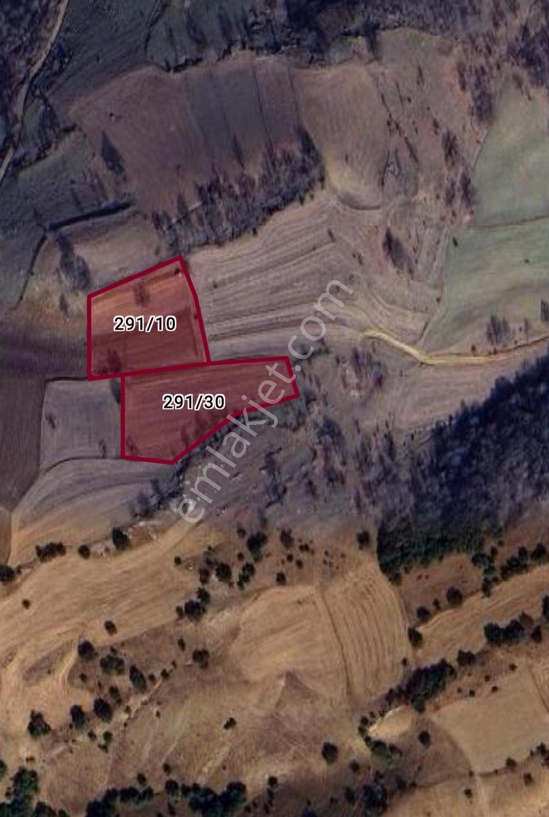 Rw Detay'dan Söğüt Ortaca Köyün'de 9,533 M2 Satılık Tarla — fotoğraf 2