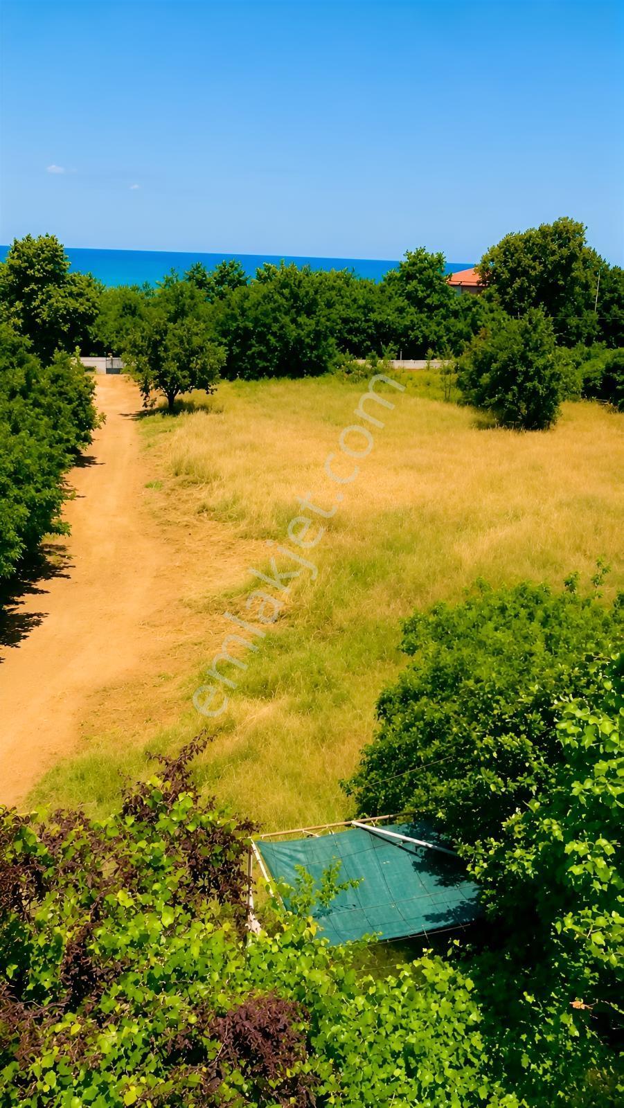 Şile/alacalı'da/imarlı/villa Arazisi — fotoğraf 2
