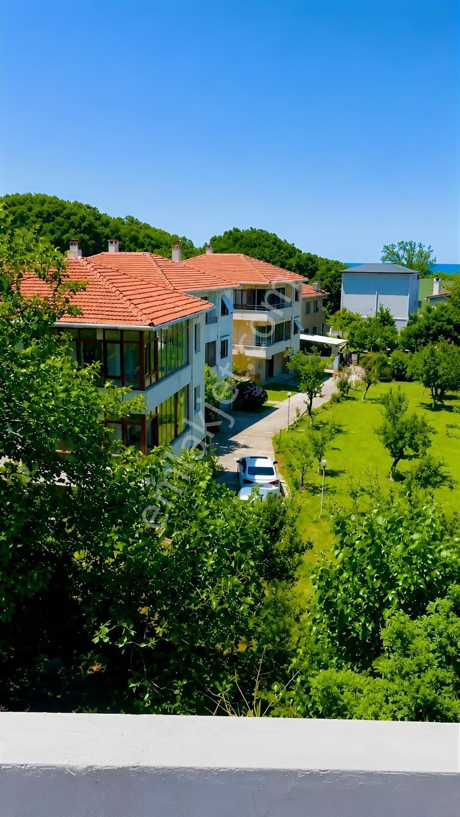 Şile/alacalı'da/imarlı/villa Arazisi — fotoğraf 4