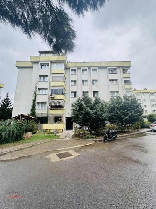 Tuzla Koza 1 Sitesi'nde 4+2 Dubleks, 200m², Teraslı — fotoğraf 4