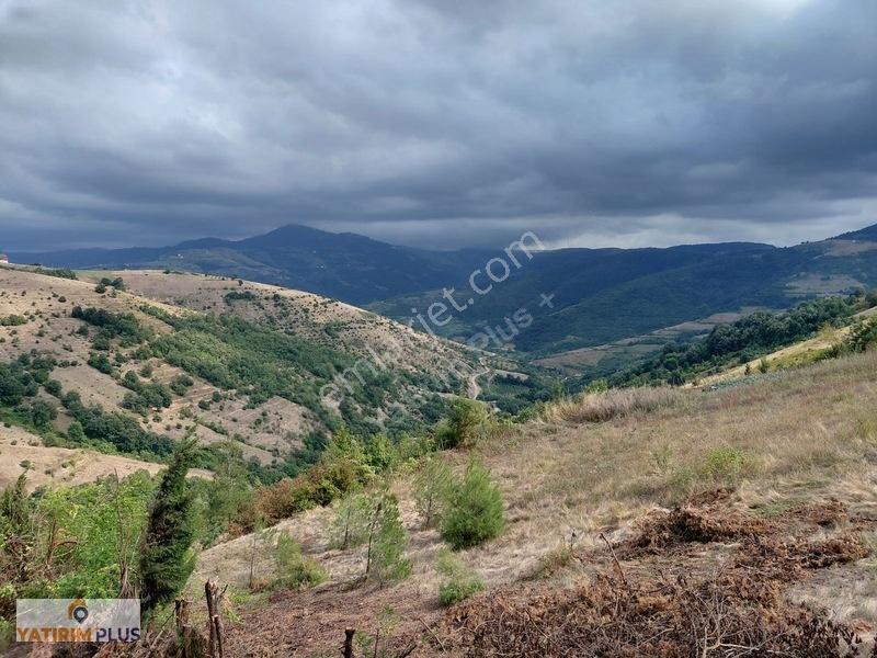 Yatırım Plus'tan İlkadım Aşağıavdanda Satılık Tarla — fotoğraf 3
