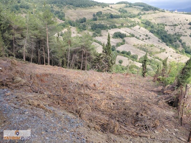 Yatırım Plus'tan İlkadım Aşağıavdanda Satılık Tarla — fotoğraf 11