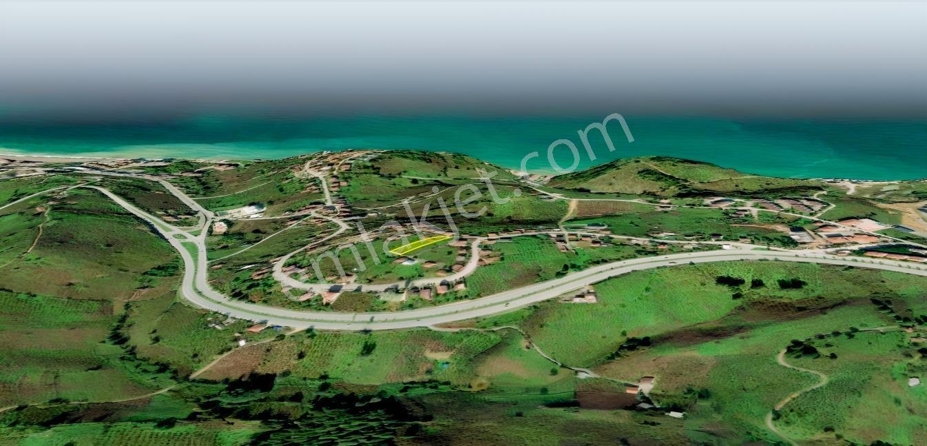 Batı Karadenizin, Keyifli,sağlıklı Yaşam, Tatil Merkezi Akçakoca — fotoğraf 2