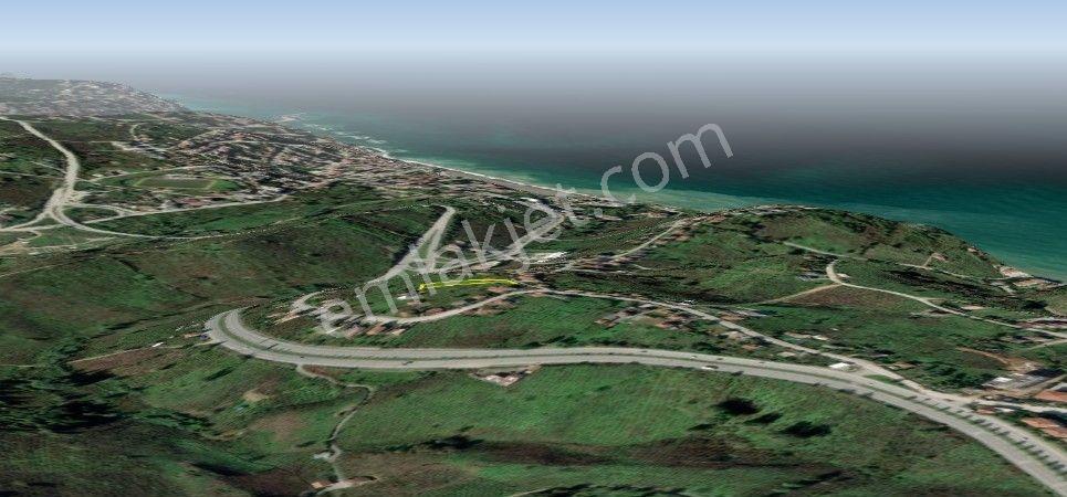 Batı Karadenizin, Keyifli,sağlıklı Yaşam, Tatil Merkezi Akçakoca — fotoğraf 7