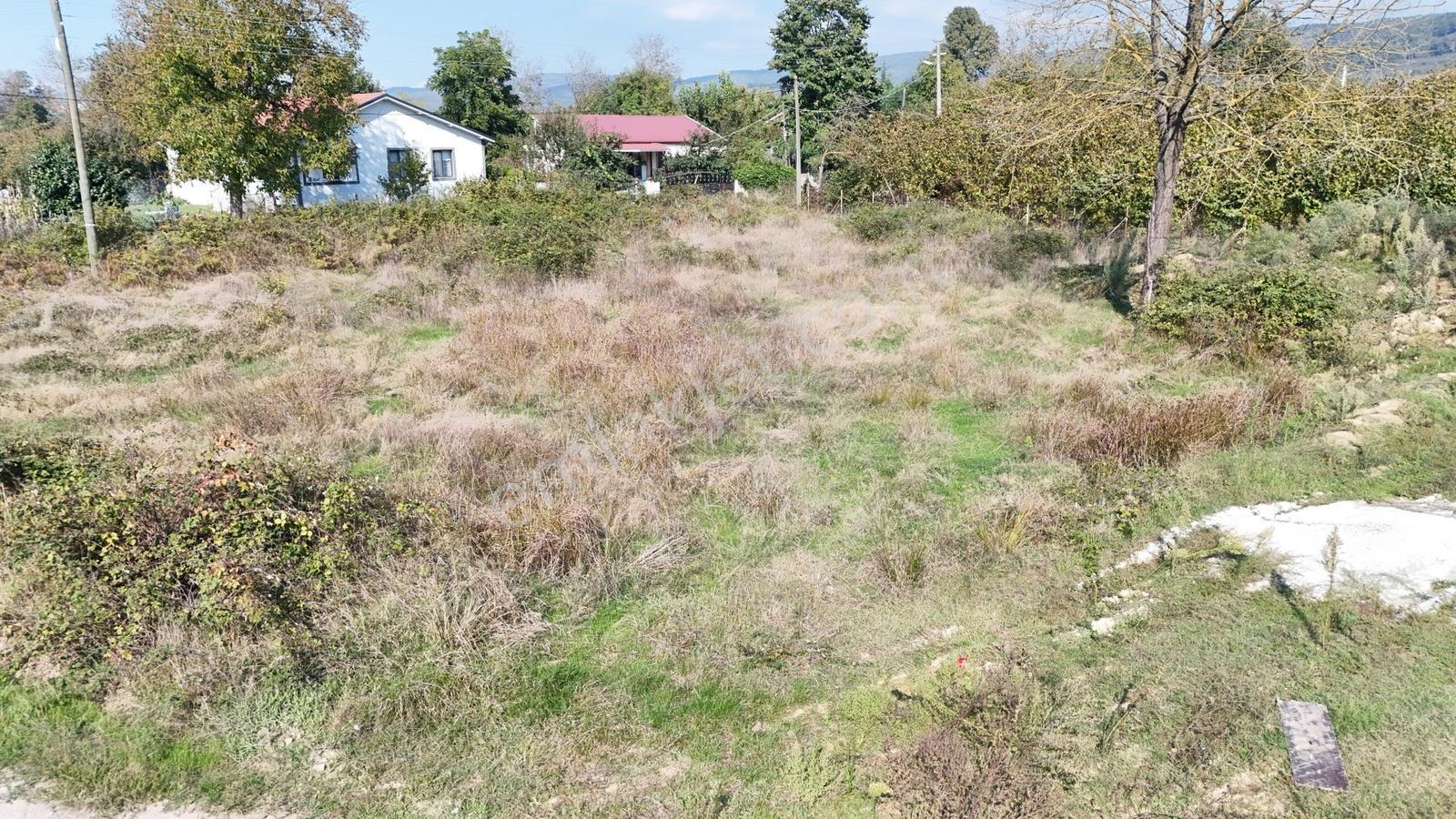Kw Metsa'dan Muncurlu Gölet Yanında 1038 M² Köşe Satılık Arsa — fotoğraf 14