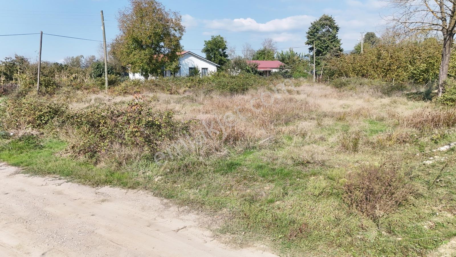 Kw Metsa'dan Muncurlu Gölet Yanında 1038 M² Köşe Satılık Arsa — fotoğraf 15