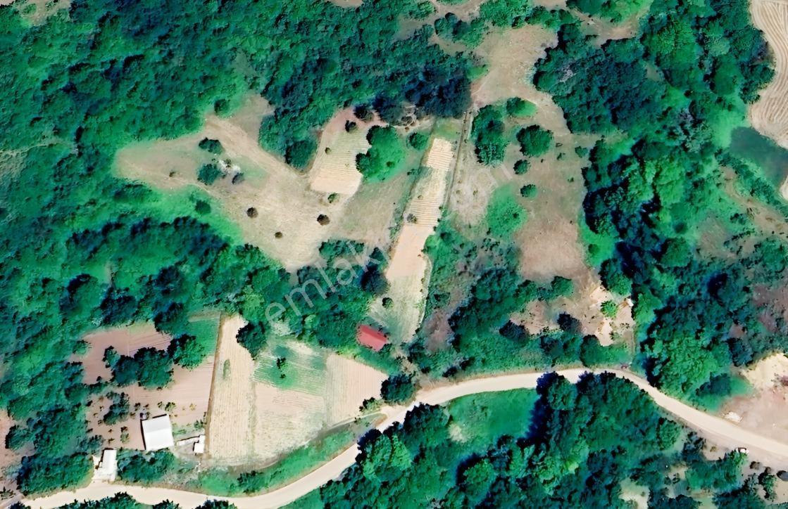 Bursa Orhaneli Süleymanbey Mahallesi Yatırımlık Arazi — fotoğraf 7