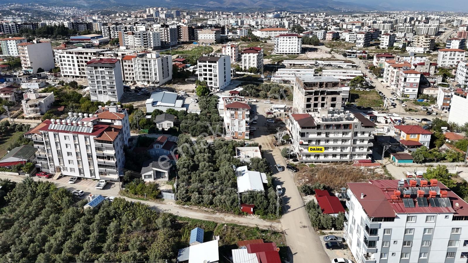 Çekmece De Ara Kat Yola Cepheli 3+1 Doğalgazlı Ferah Daire — fotoğraf 6