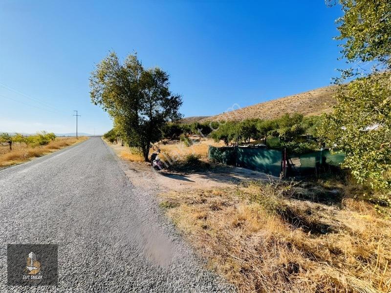 Kayalıoğlu'nda Elektirik Suyu Olan 1200 M² Hobi Bahçesi — fotoğraf 2