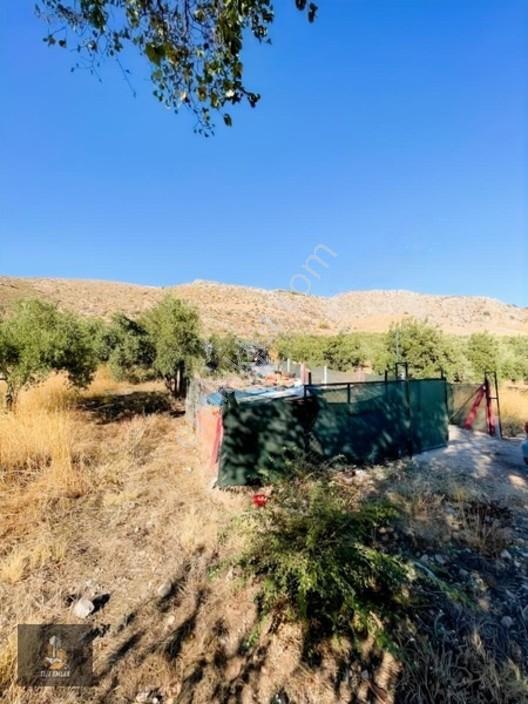 Kayalıoğlu'nda Elektirik Suyu Olan 1200 M² Hobi Bahçesi — fotoğraf 3