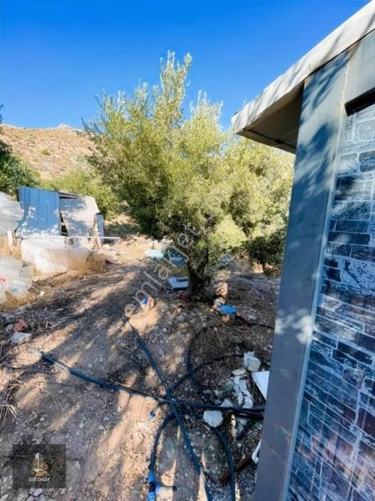 Kayalıoğlu'nda Elektirik Suyu Olan 1200 M² Hobi Bahçesi — fotoğraf 5