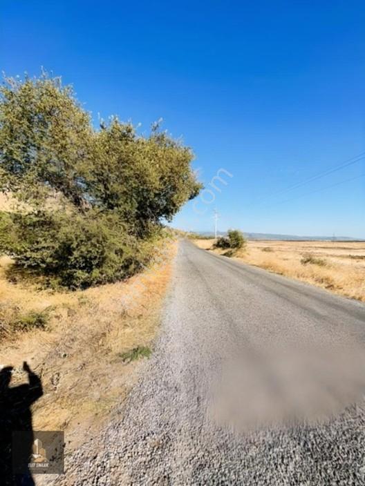 Kayalıoğlu'nda Elektirik Suyu Olan 1200 M² Hobi Bahçesi — fotoğraf 6