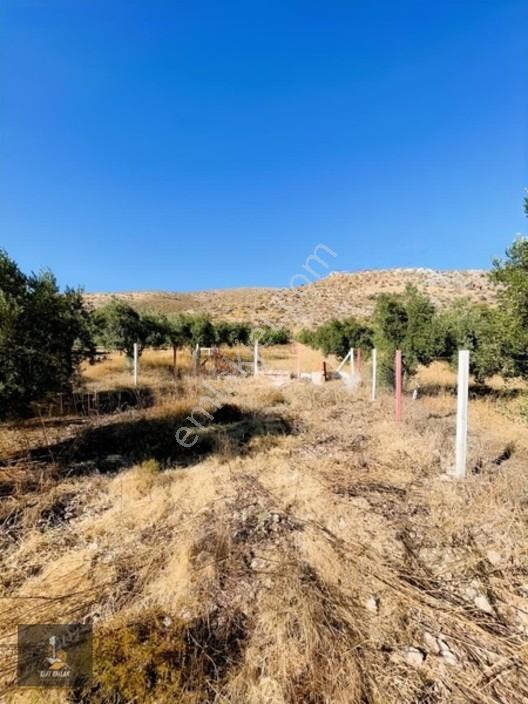 Kayalıoğlu'nda Elektirik Suyu Olan 1200 M² Hobi Bahçesi — fotoğraf 7