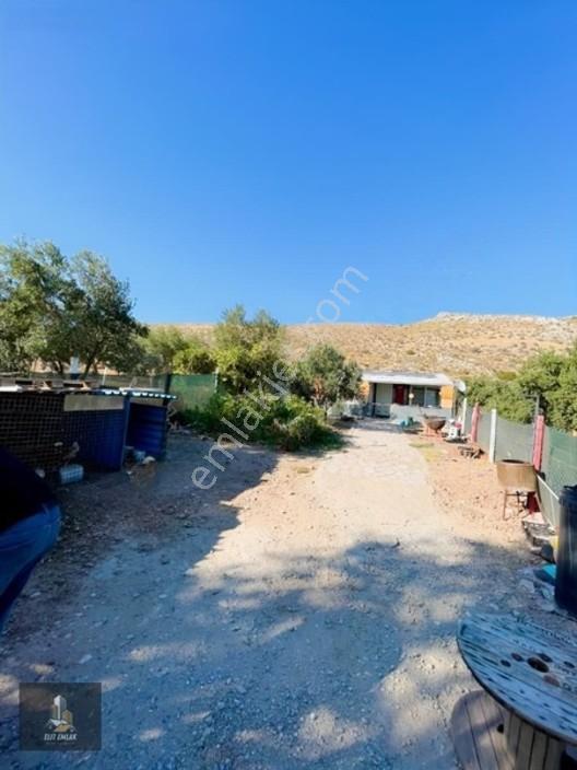 Kayalıoğlu'nda Elektirik Suyu Olan 1200 M² Hobi Bahçesi — fotoğraf 8