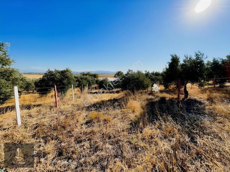 Kayalıoğlu'nda Elektirik Suyu Olan 1200 M² Hobi Bahçesi — fotoğraf 9