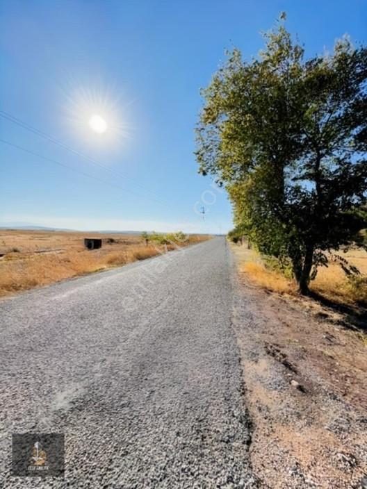Kayalıoğlu'nda Elektirik Suyu Olan 1200 M² Hobi Bahçesi — fotoğraf 10