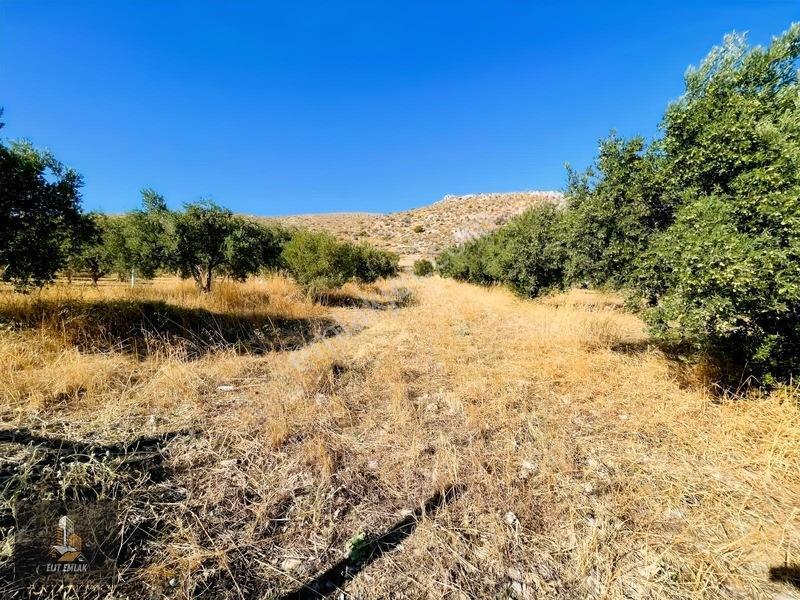 Kayalıoğlu'nda Elektirik Suyu Olan 1200 M² Hobi Bahçesi — fotoğraf 12
