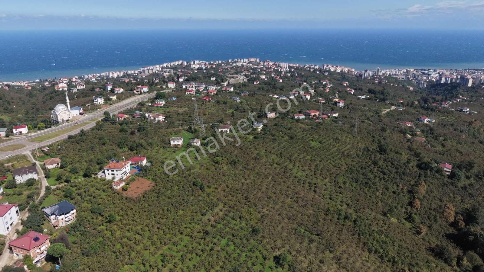 İnvestor Gayrimenkul Satılık Deniz Manzaralı Düz Arsa — fotoğraf 8