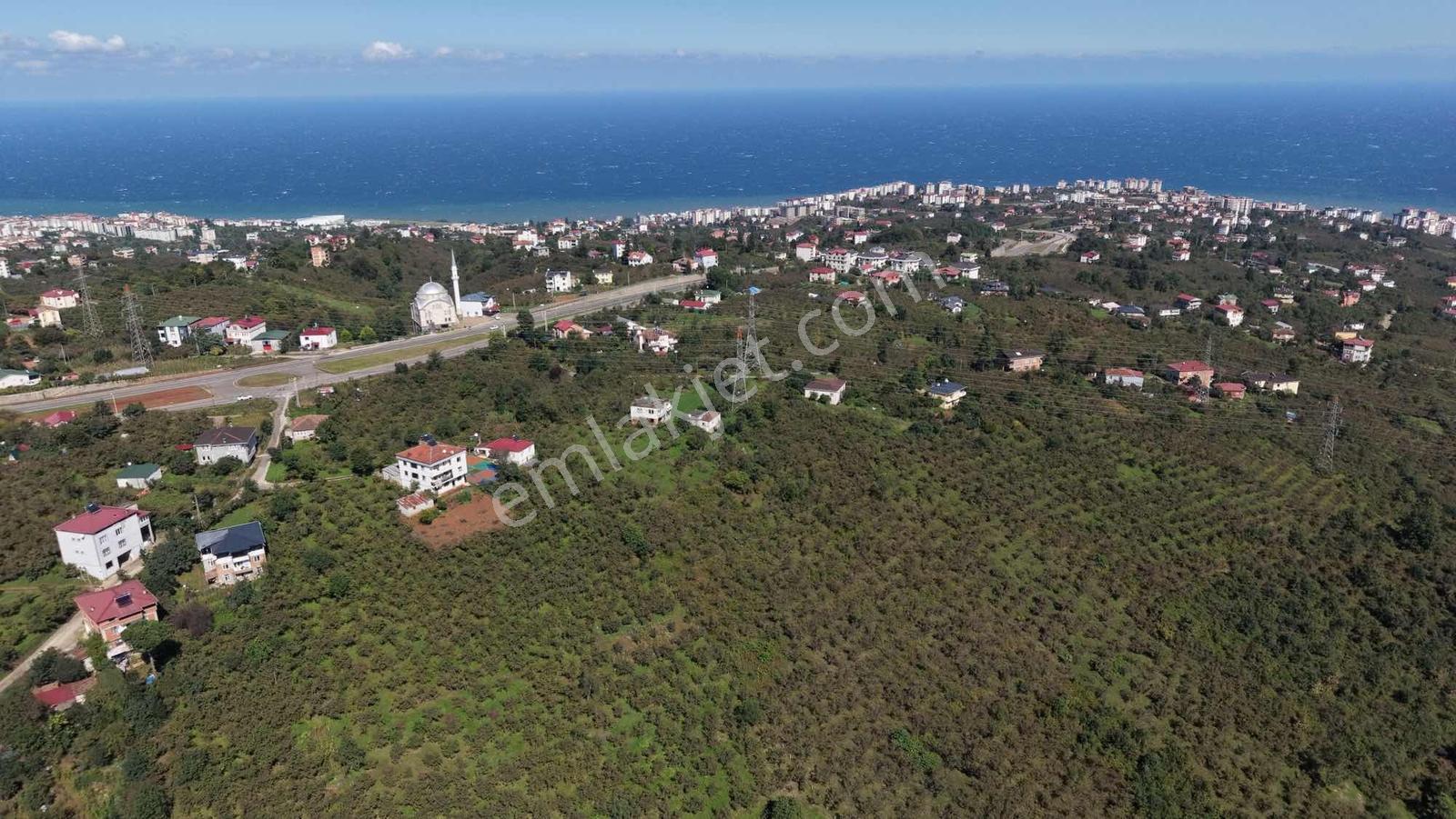İnvestor Gayrimenkul Satılık Deniz Manzaralı Düz Arsa — fotoğraf 11