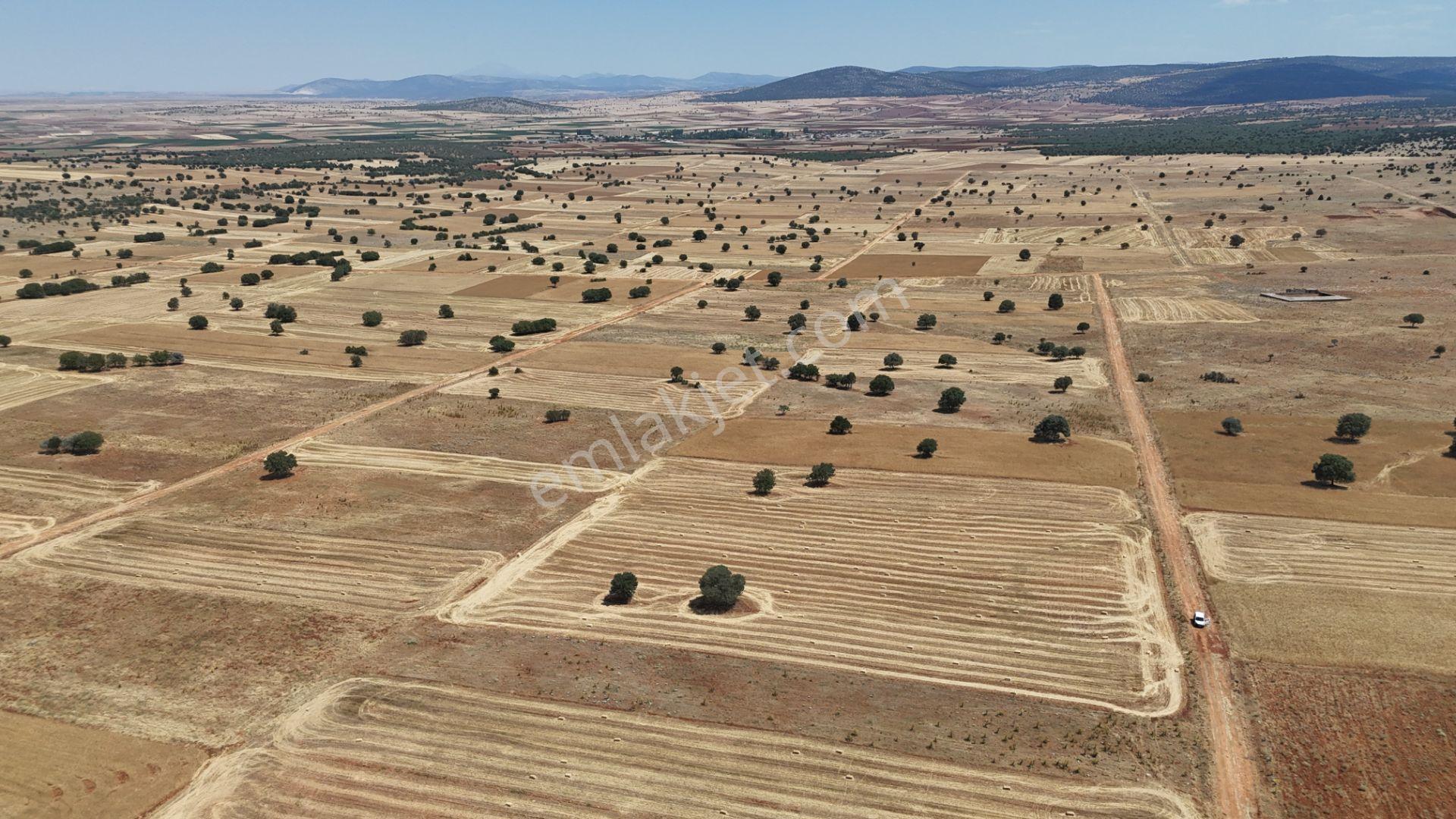 Akören Ağalar Mahallesi'nde Satılık 10.285 M² Tarla — fotoğraf 5