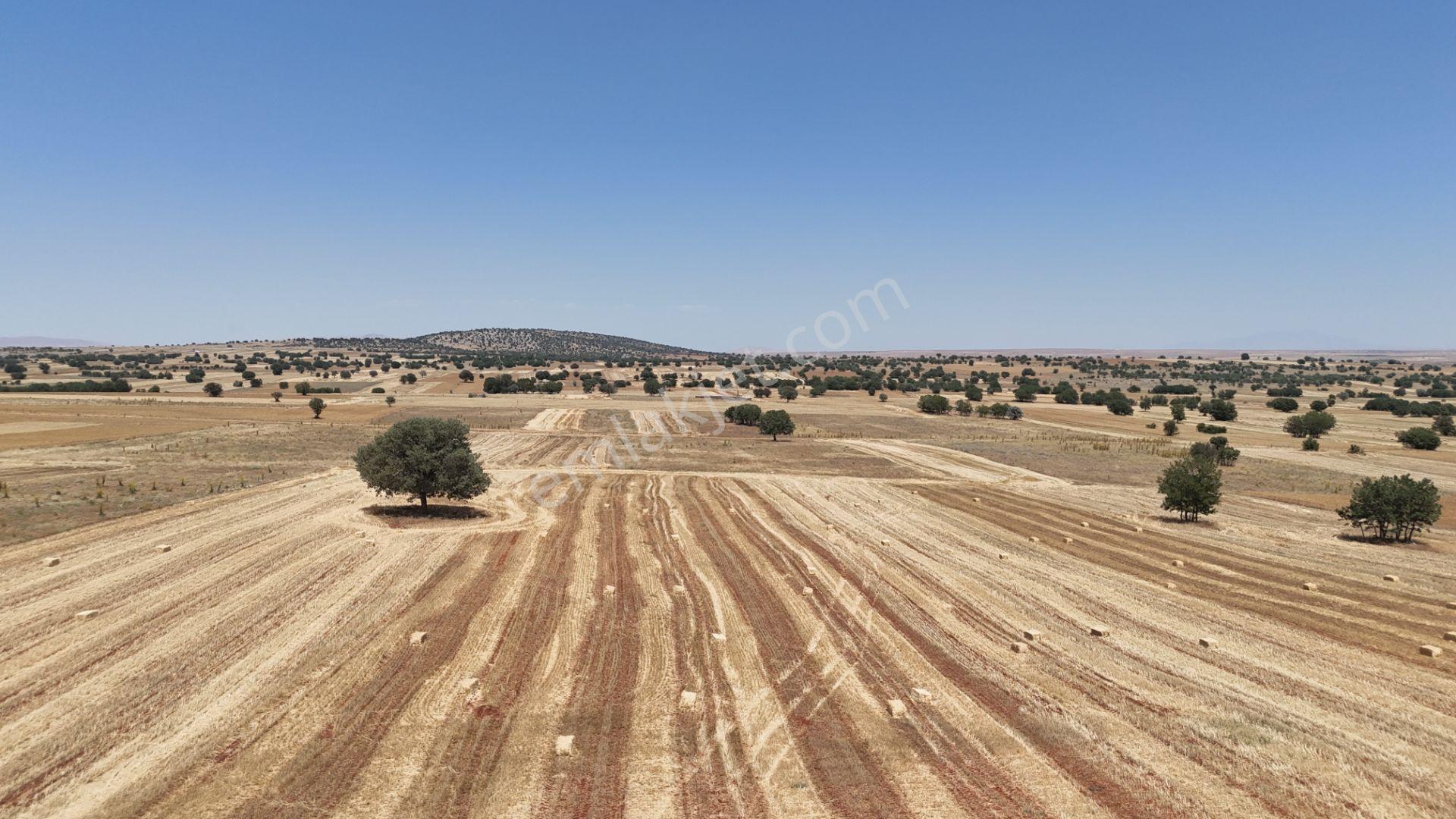 Akören Ağalar Mahallesi'nde Satılık 10.285 M² Tarla — fotoğraf 6