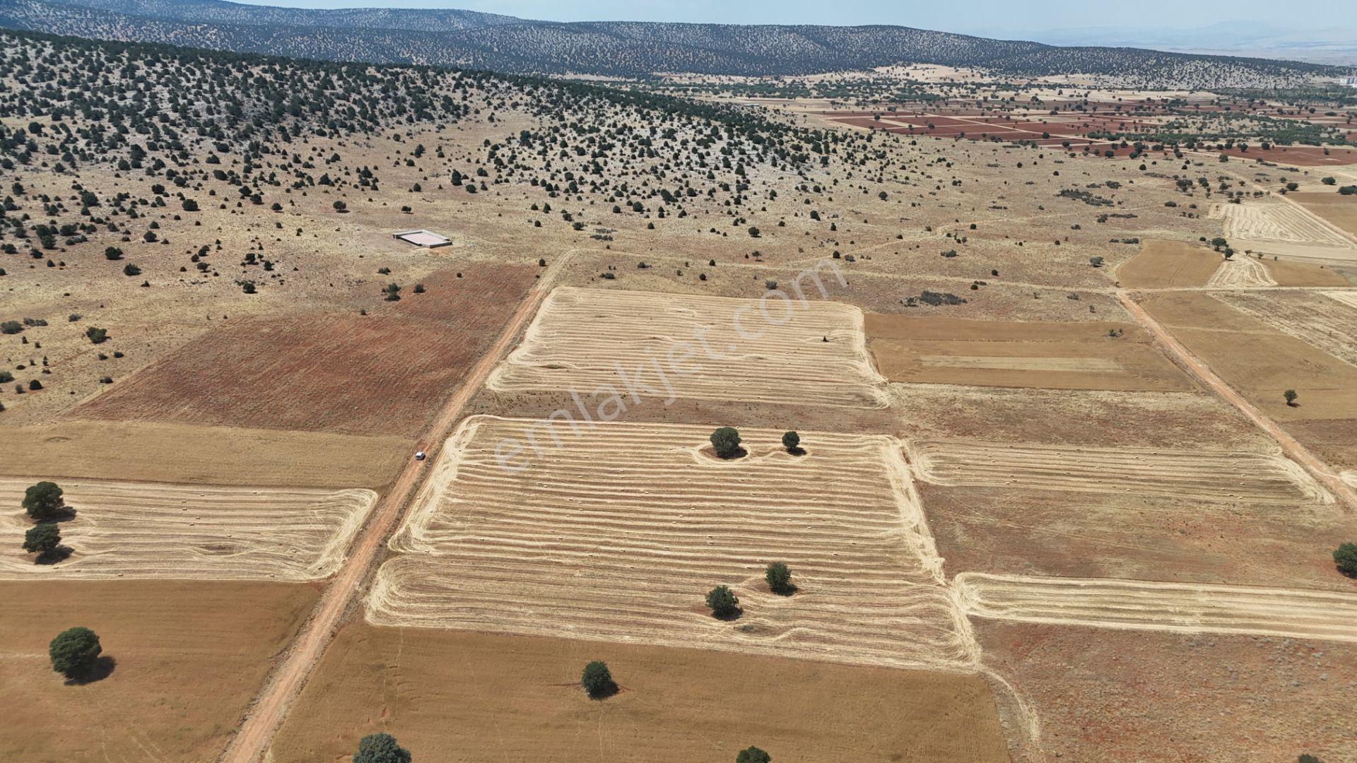 Akören Ağalar Mahallesi'nde Satılık 10.285 M² Tarla — fotoğraf 13