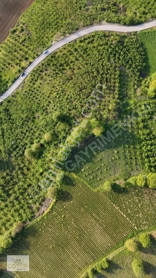 Kandıra Sinanlıbilallı Mahallesi Toplulaştırma Alanında Satılık — fotoğraf 2