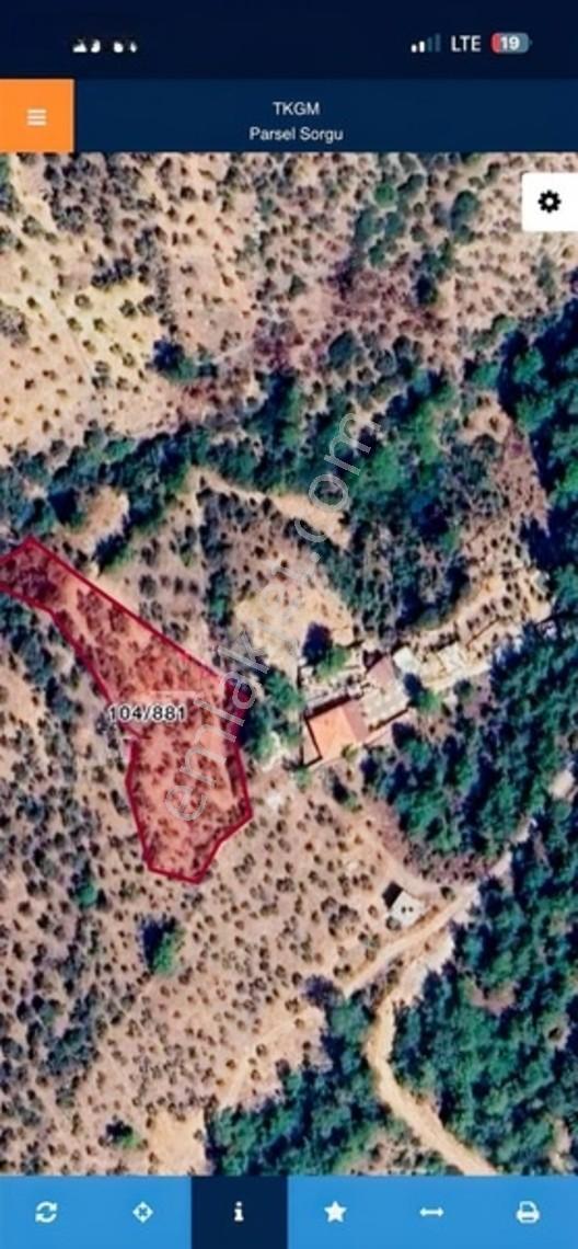 Acil Satılık Torbalı Dirmil Tek Tapu 3266 M2 — fotoğraf 6