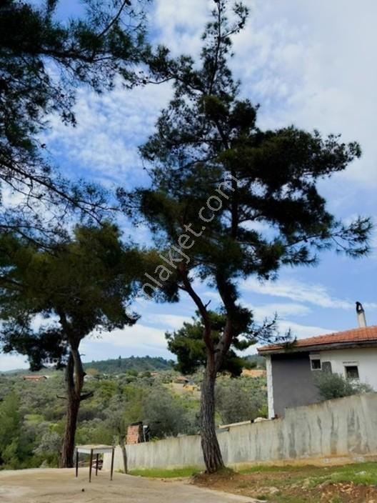 Acil Satılık Torbalı Dirmil Tek Tapu 3266 M2 — fotoğraf 9