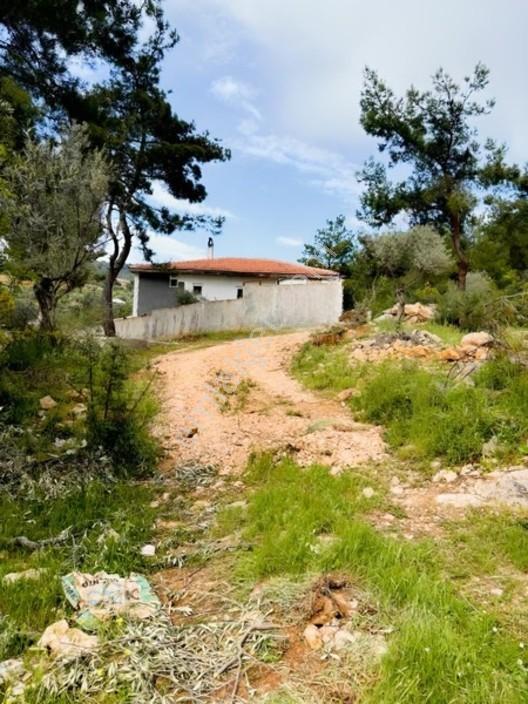 Acil Satılık Torbalı Dirmil Tek Tapu 3266 M2 — fotoğraf 10