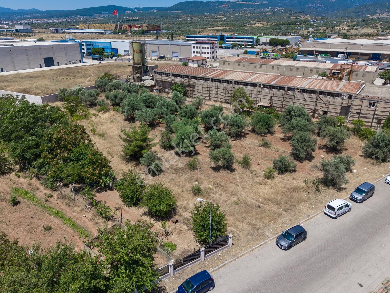 Kemalpaşa Organize Sanayi Bölgesi'nde Satılık Arsa Fırsat — fotoğraf 8