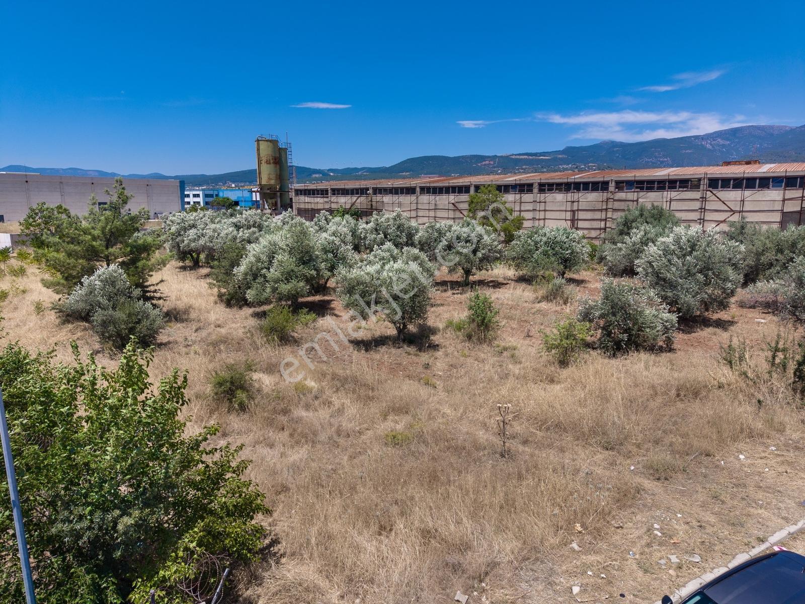 Kemalpaşa Organize Sanayi Bölgesi'nde Satılık Arsa Fırsat — fotoğraf 32