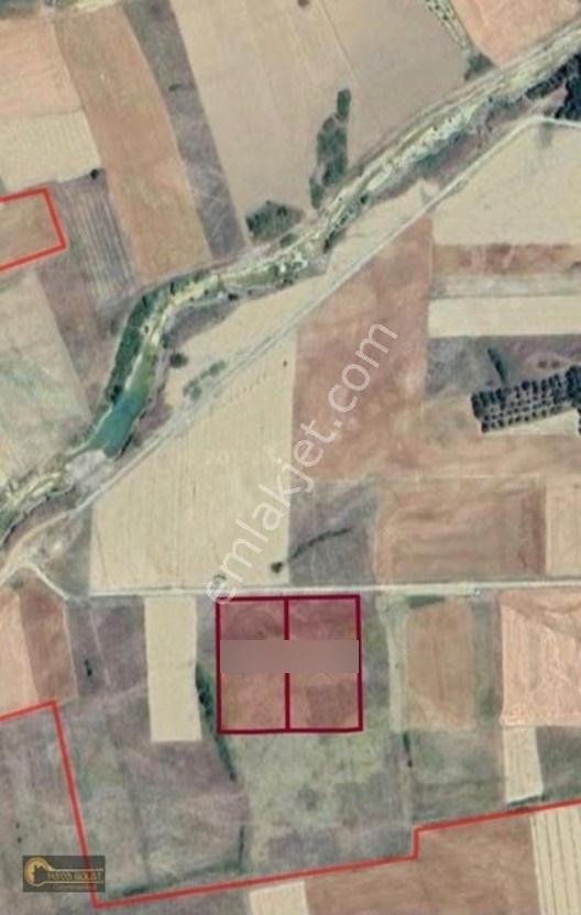 Konya Beyşehir'De Satılık Kelepir Tarla Bu Fırsat Kaçmaz