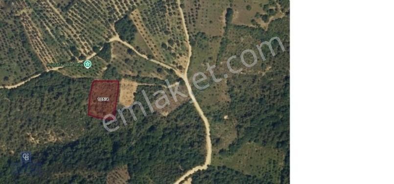 Yenısehır Mecıdıye Mahllesınde Satılık Arsa — fotoğraf 2