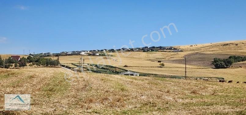 Beynam Mah 14.500 M2 Tek Tapu Çiftlik Arazisi — fotoğraf 2