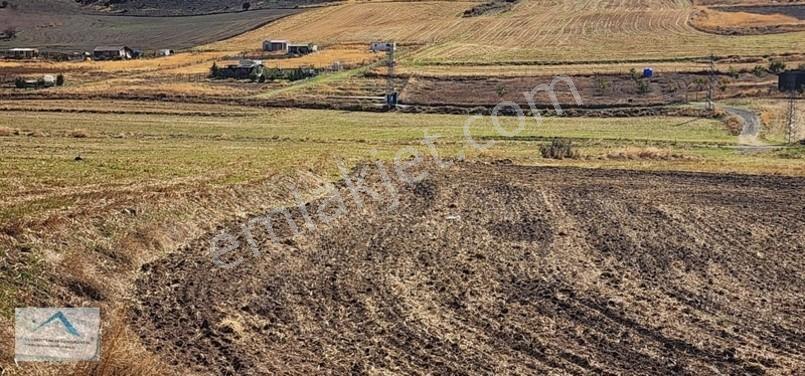 Beynam Mah 14.500 M2 Tek Tapu Çiftlik Arazisi — fotoğraf 4