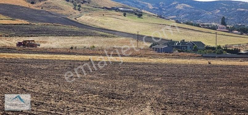 Beynam Mah 14.500 M2 Tek Tapu Çiftlik Arazisi — fotoğraf 5