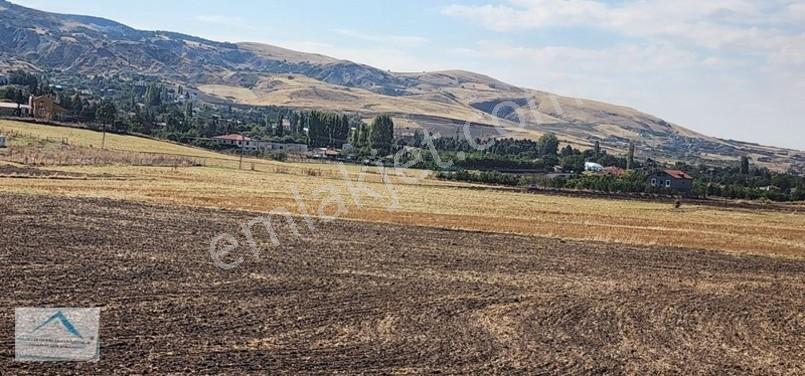 Beynam Mah 14.500 M2 Tek Tapu Çiftlik Arazisi — fotoğraf 6