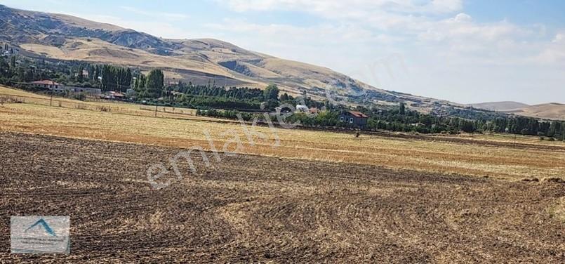 Beynam Mah 14.500 M2 Tek Tapu Çiftlik Arazisi — fotoğraf 7