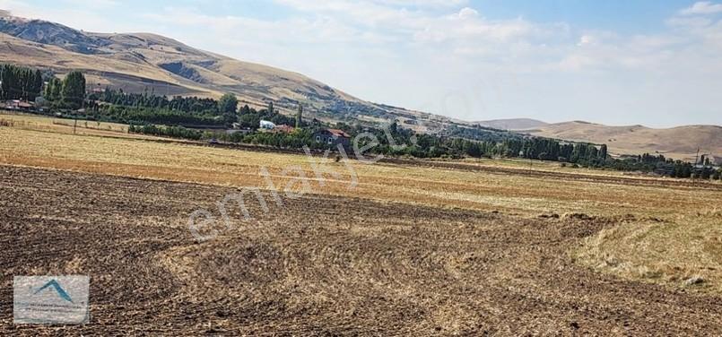 Beynam Mah 14.500 M2 Tek Tapu Çiftlik Arazisi — fotoğraf 8