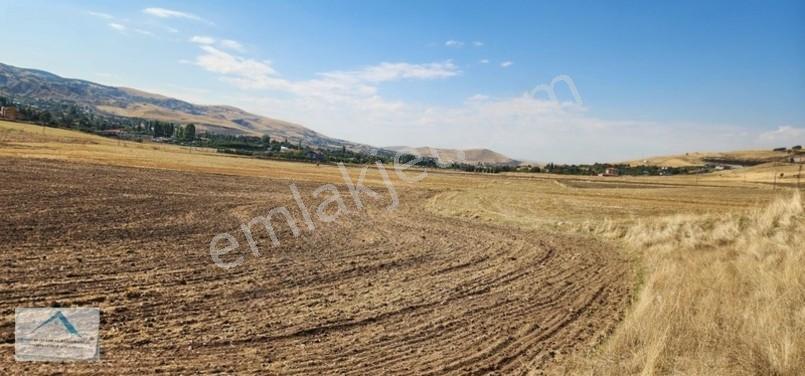Beynam Mah 14.500 M2 Tek Tapu Çiftlik Arazisi — fotoğraf 9