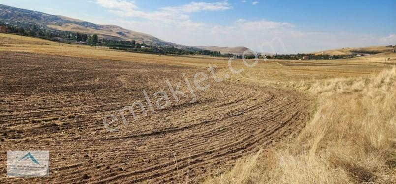 Beynam Mah 14.500 M2 Tek Tapu Çiftlik Arazisi — fotoğraf 10
