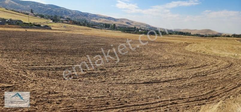 Beynam Mah 14.500 M2 Tek Tapu Çiftlik Arazisi — fotoğraf 11