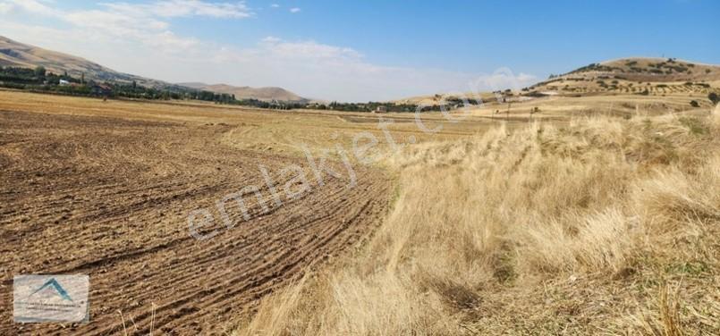 Beynam Mah 14.500 M2 Tek Tapu Çiftlik Arazisi — fotoğraf 12