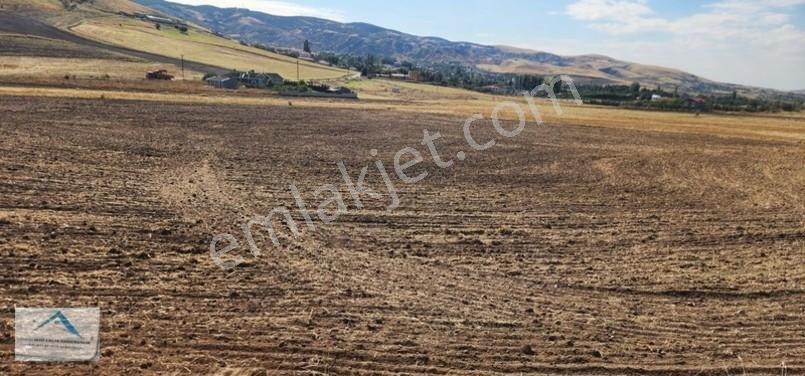 Beynam Mah 14.500 M2 Tek Tapu Çiftlik Arazisi — fotoğraf 13
