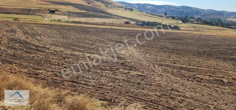 Beynam Mah 14.500 M2 Tek Tapu Çiftlik Arazisi — fotoğraf 14