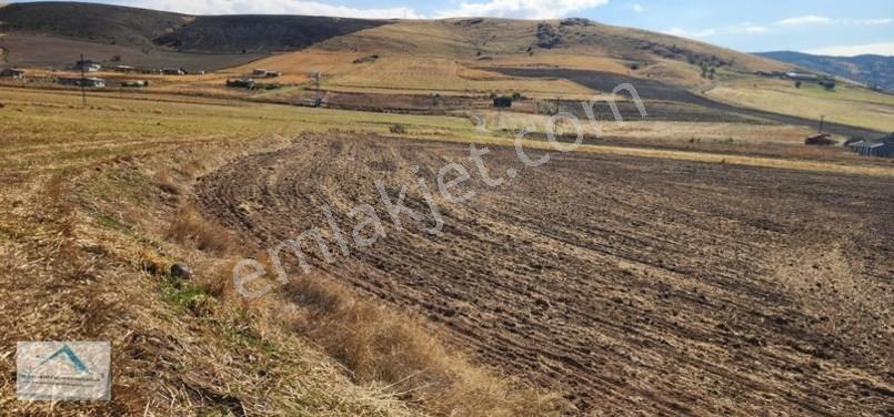 Beynam Mah 14.500 M2 Tek Tapu Çiftlik Arazisi — fotoğraf 15